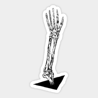 Skeleton Arm Looking For Your Neck Bones Horror Halloween Sticker